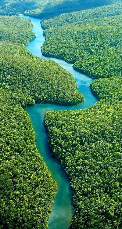 Amazon River