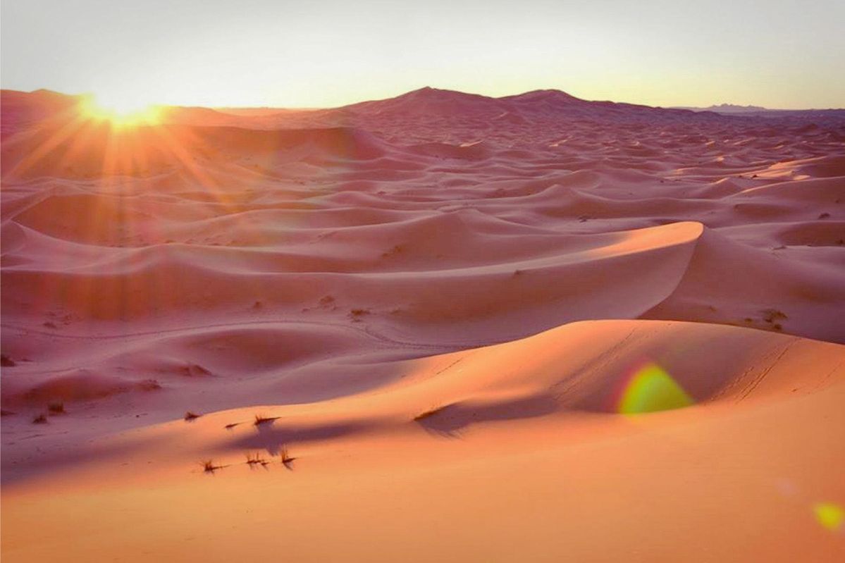 Sahara Desert