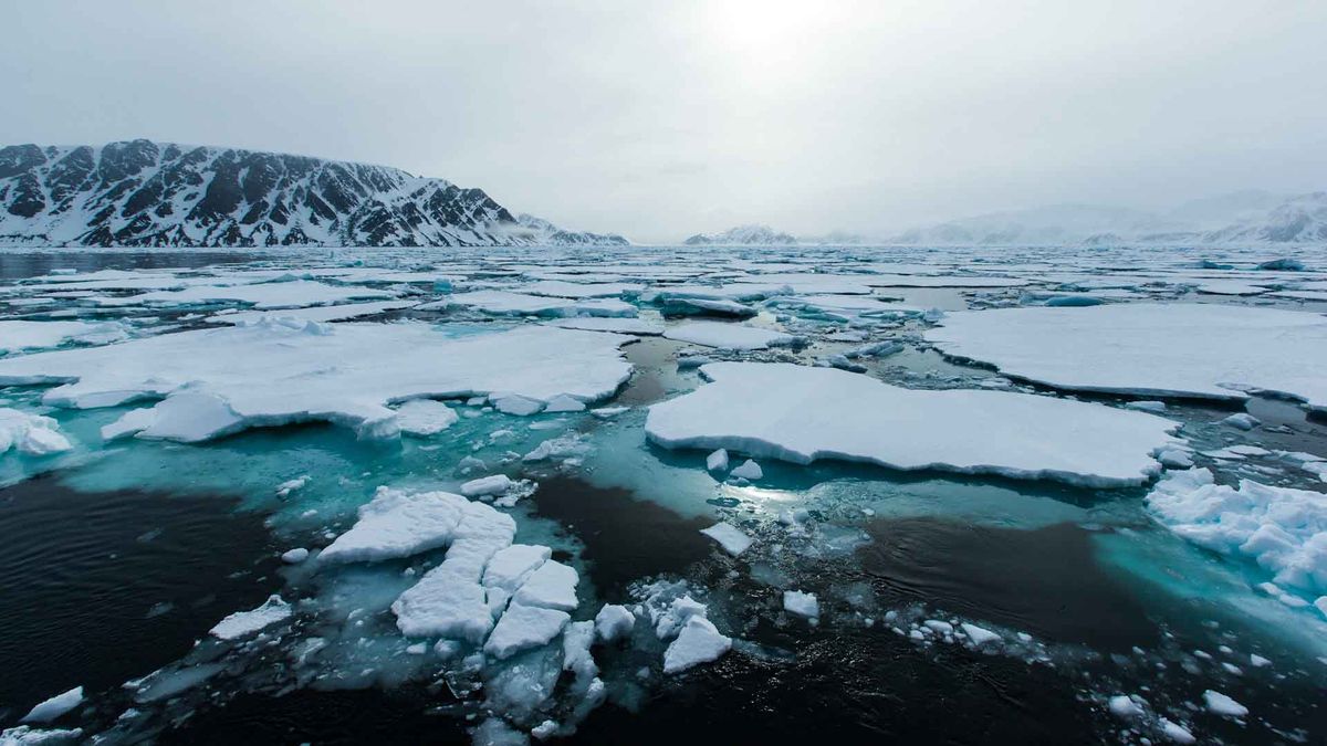 Antarctica